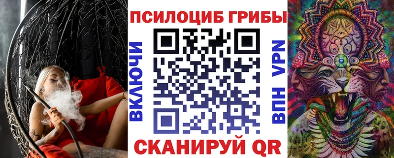 Псилоцибиновые грибы Cubensis  Светогорск 